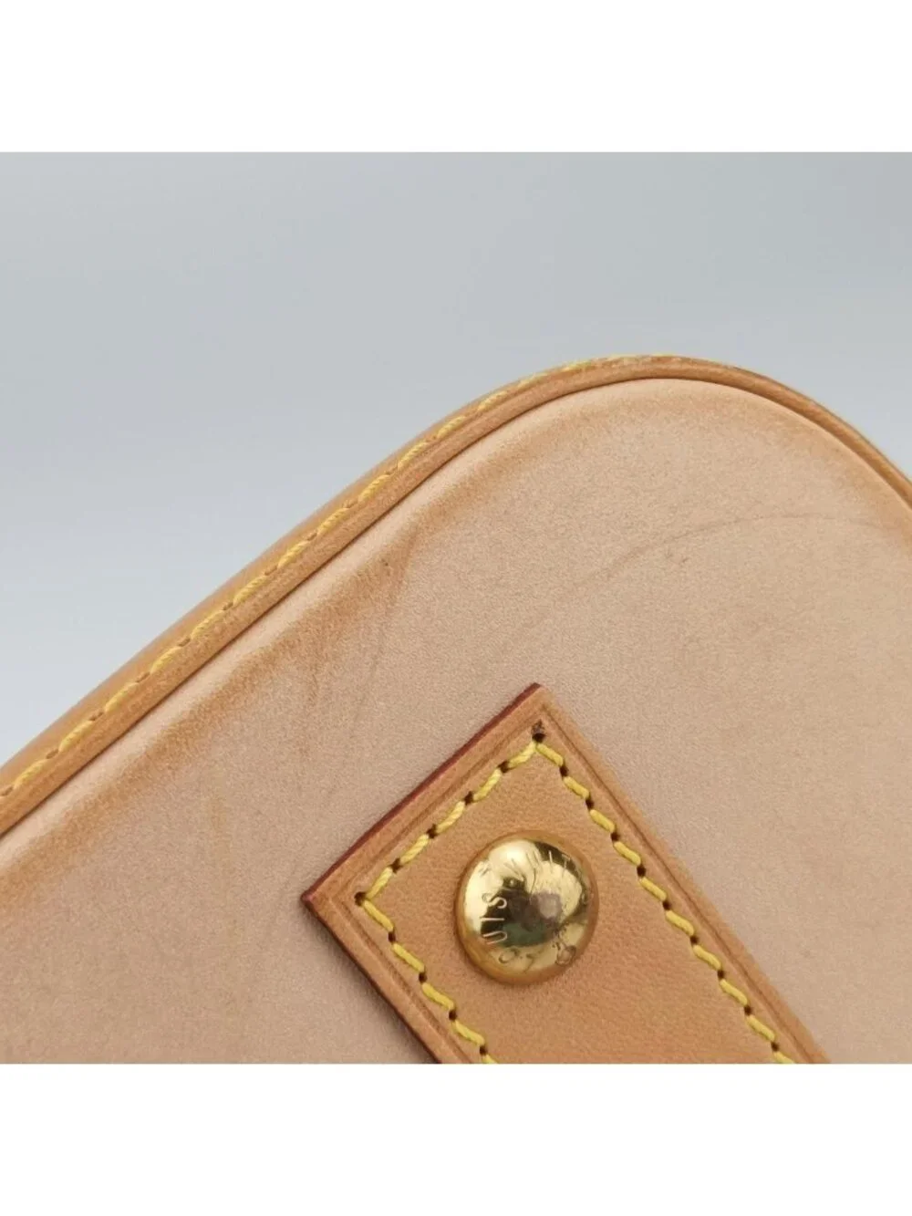 Louis Vuitton brand louis
